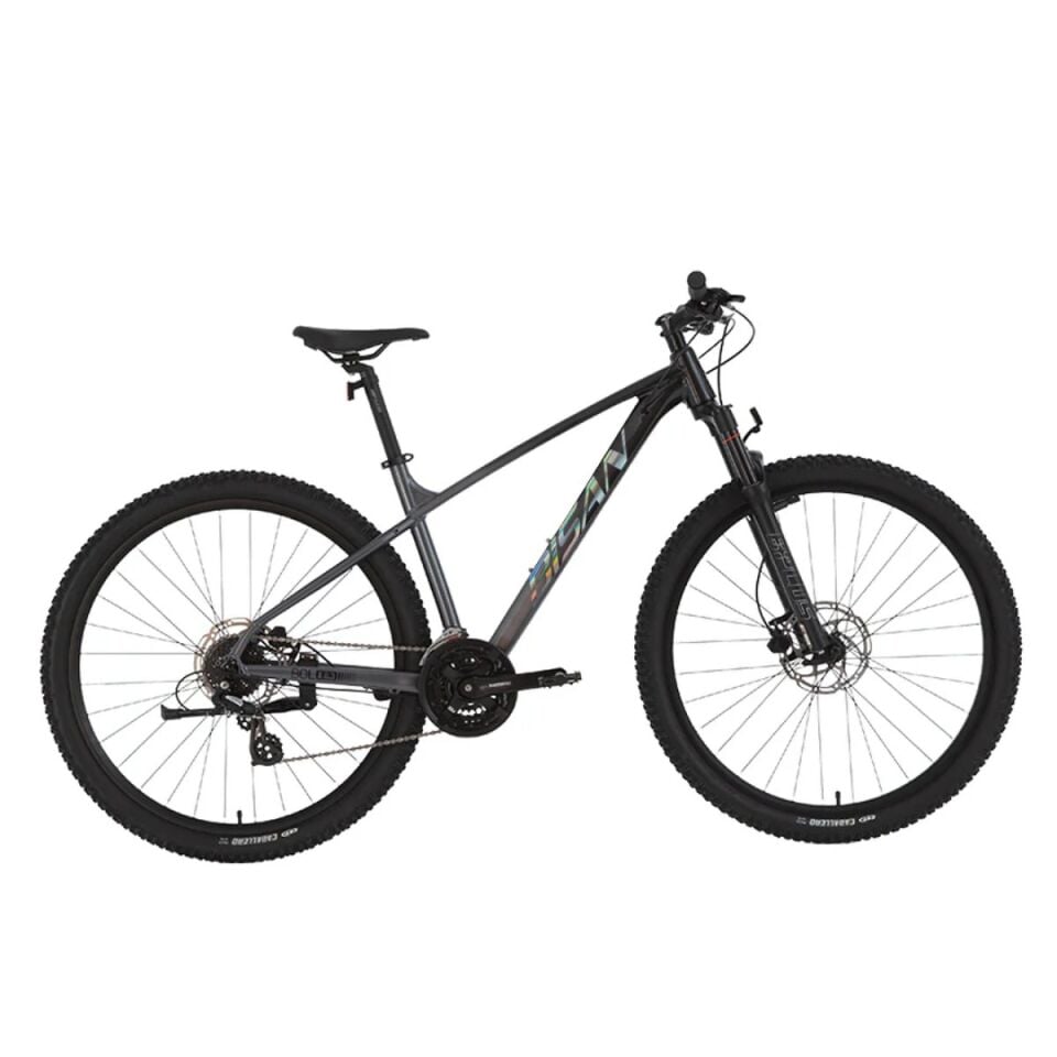 BİSAN 29 JANT BOLD 8.3-26 BİSİKLET 24V HD SİYAH-GRİ