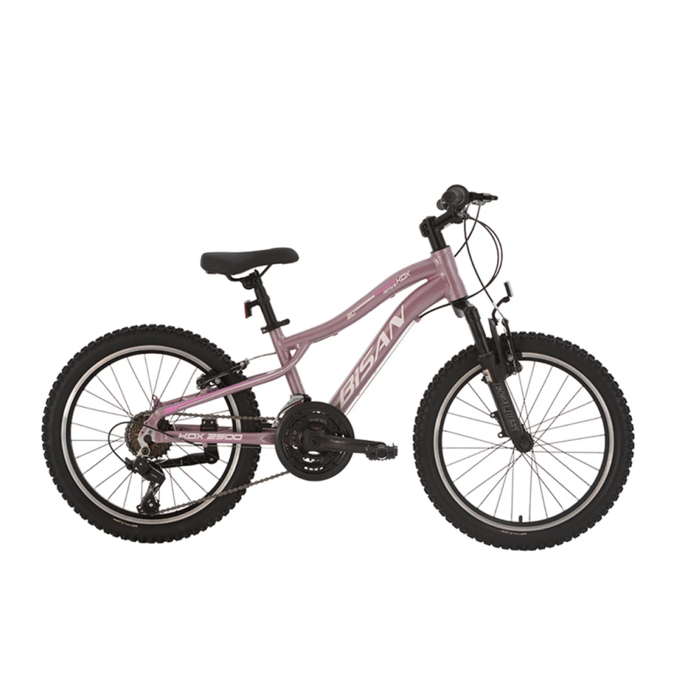 BİSAN 20'' KDX 2500 V-25 BİSİKLET 21V VB